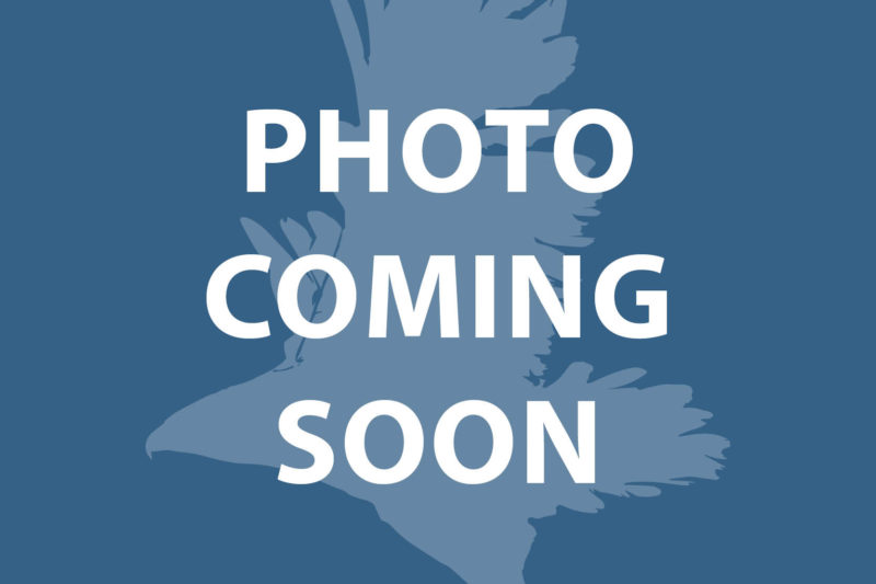 photo-placeholder